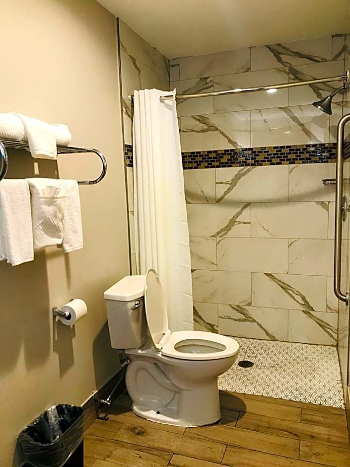 Summit Inn - Houston Medical Center - NRG Park