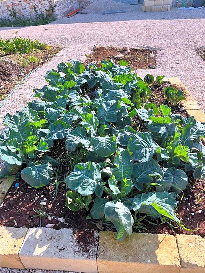 Villa Ada-Trulli Puglia