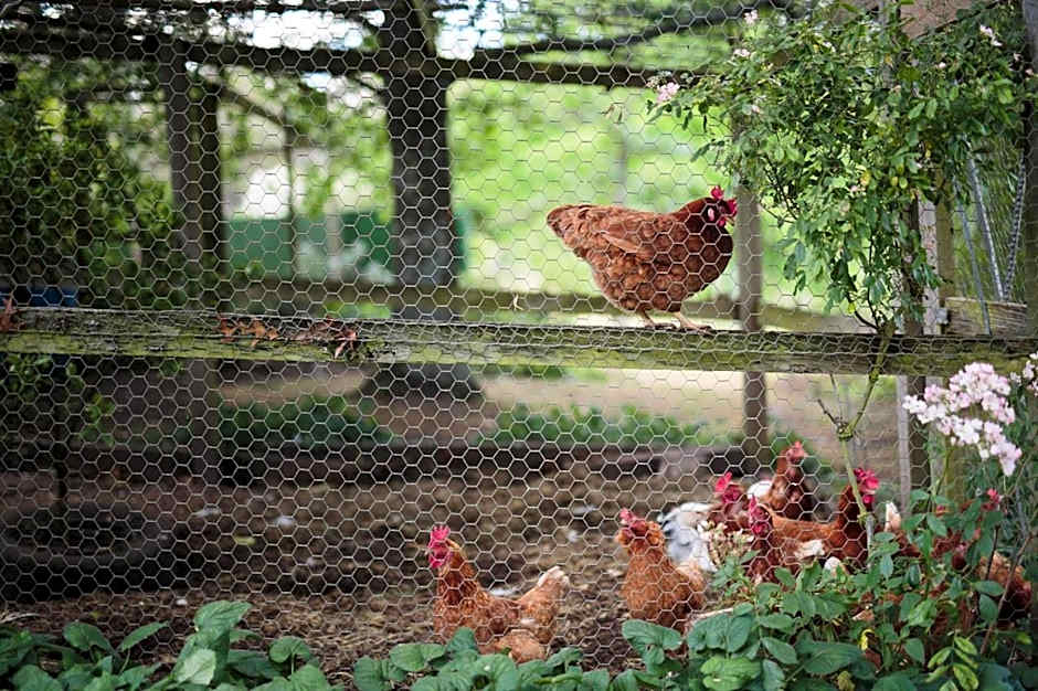 Braeside Mount Macedon Country Retreat Bed and Breakfast