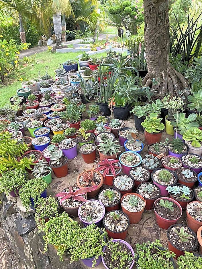 Tigraviers Bed & Breakfast