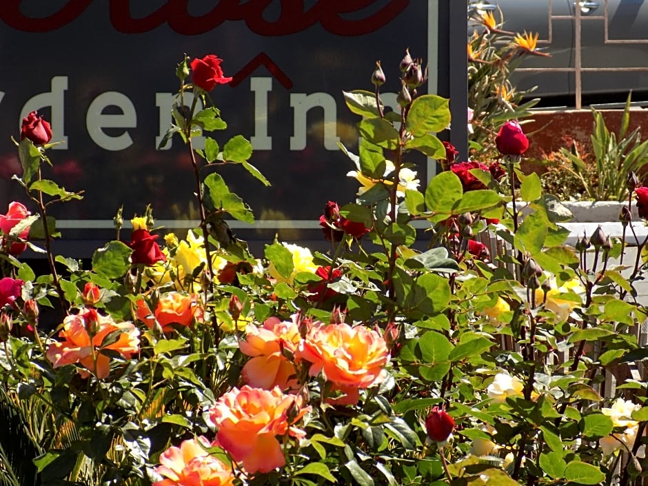 Rose Garden Inn