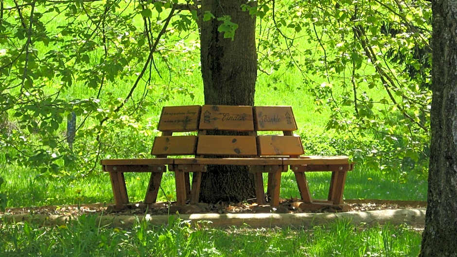 Silberkönig Schwarzwald Hotel & Restaurant Ringhotel