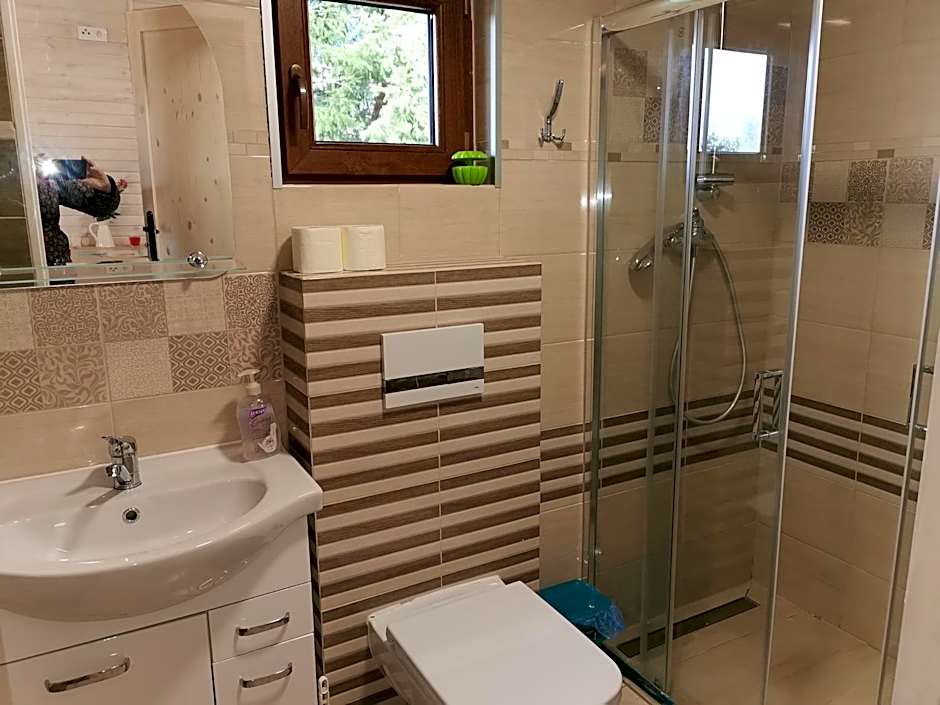 Domki Borowiackie nad brzegiem jeziora