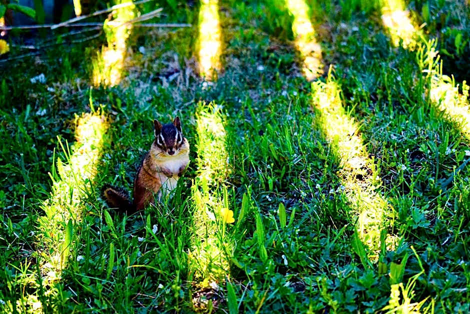 Seascape Coastal Retreat - 2 ADULTS ONLY - HOT TUB AND WITHOUT HOT TUB OCEANFRONT PROPERTY