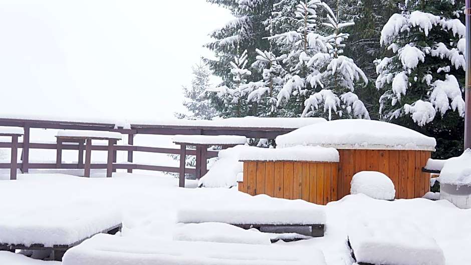 Cabana "Trei Brazi " Retezat