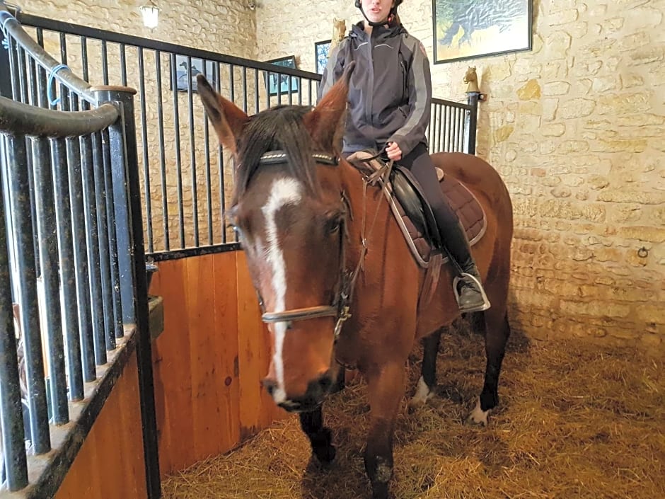 Chenonceau Amboise équitation beauval