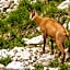 Hotel Monte Baldo