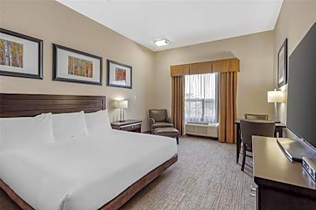 King Room with Roll-In Shower - Disability Access