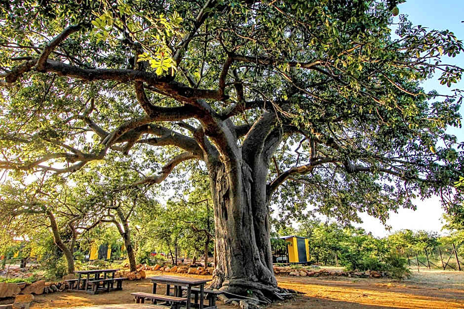 SleepOver Beitbridge