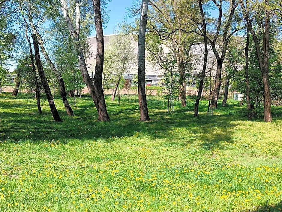 ibis budget Wroclaw Stadion