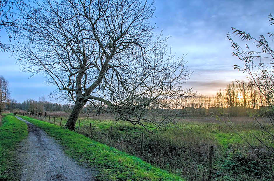 De Koolputten