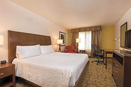 1 King Hearing Accessible Room