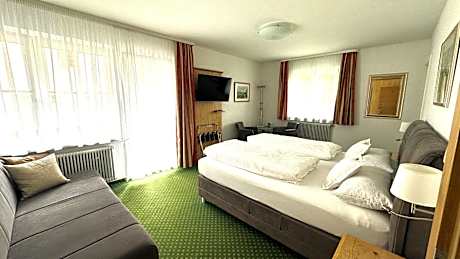 Studio with Sofa Bed