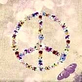 B&B Mirna - Piccolo Appartamento