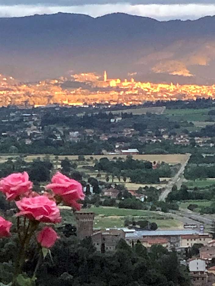 Villaspino