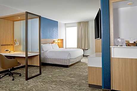 King Suite with Roll-In Shower and Sofa Bed - Mobility Access