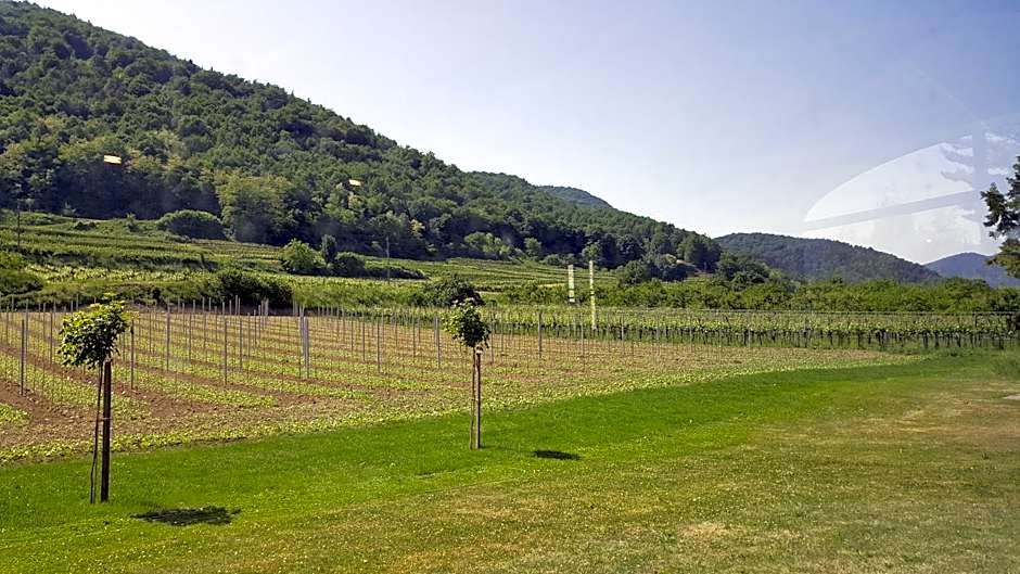 Gasthof zur Wachau