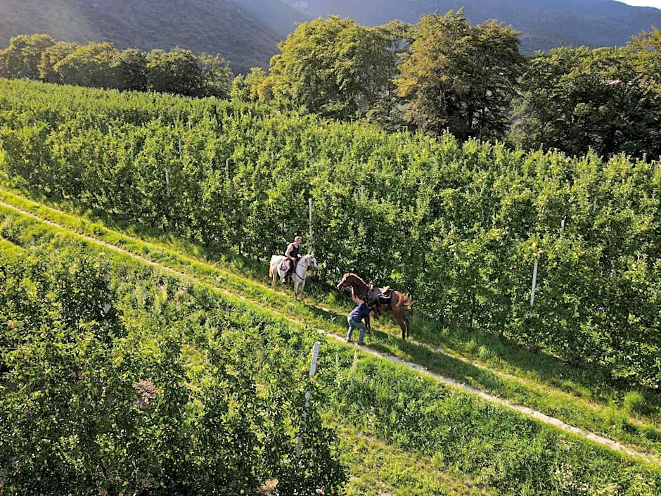 Agritur Sandro
