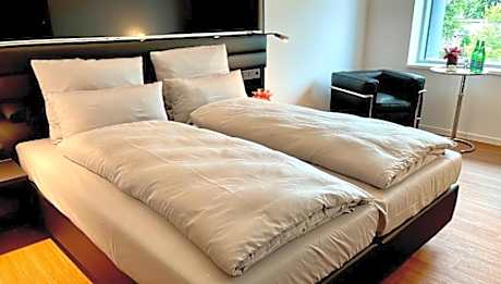 1 King Bed Standard TV City View Walk In Shower Air-Conditioned Convertible Into 2 Twin Beds