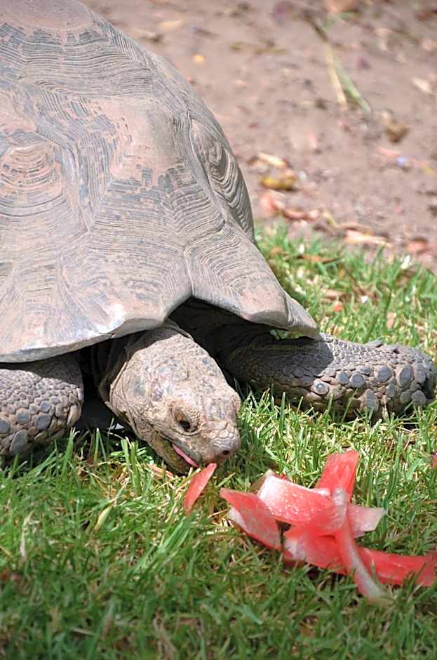 B&B Sauvignon Country Lodge