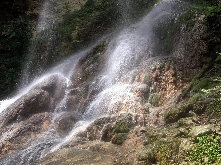 Hacienda el Jibarito