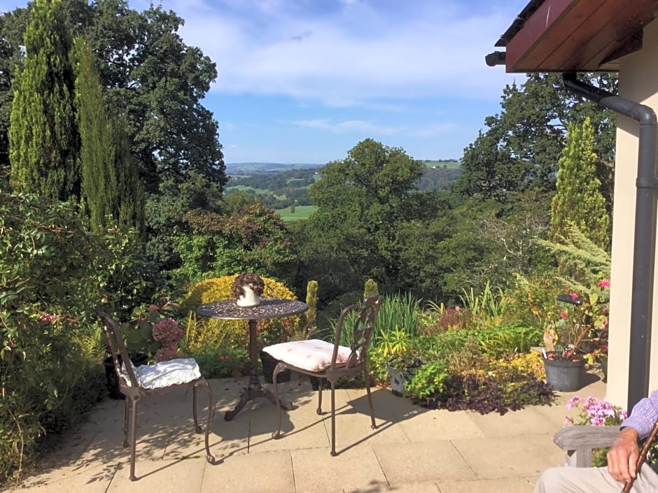 Dwynant - A Room with a View