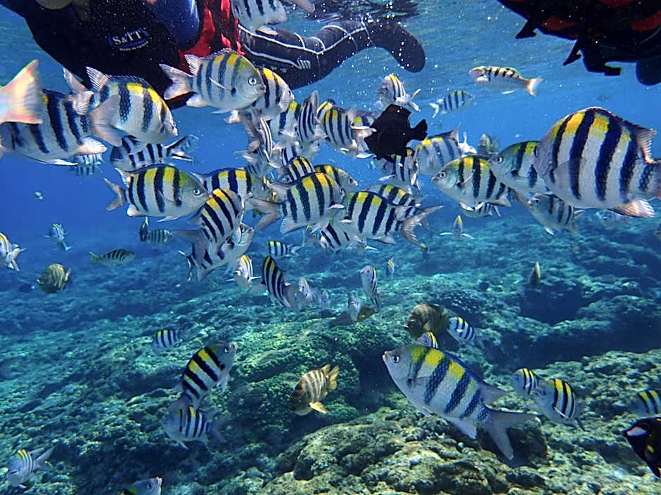 Good Viewing Spot B&B