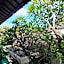 Villa Diana Bali 3 Bedrooms