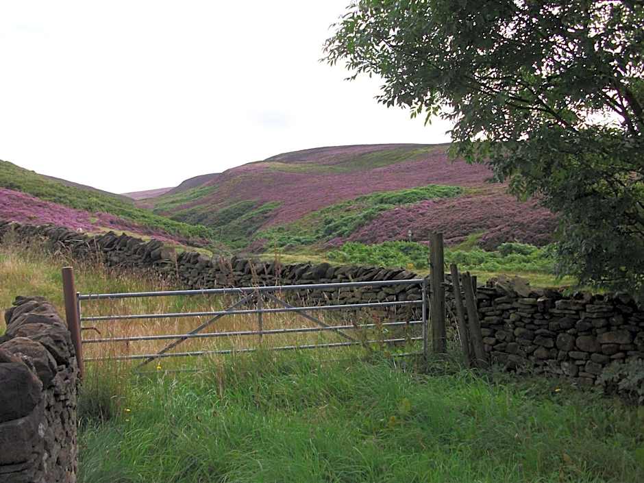 The Lantern Pike Inn