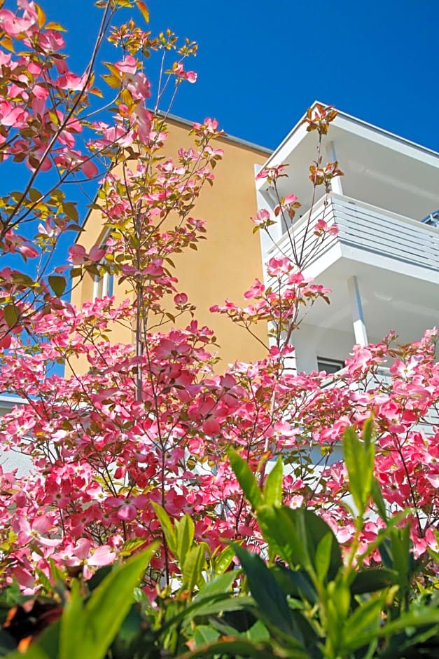 Hotel Jardis