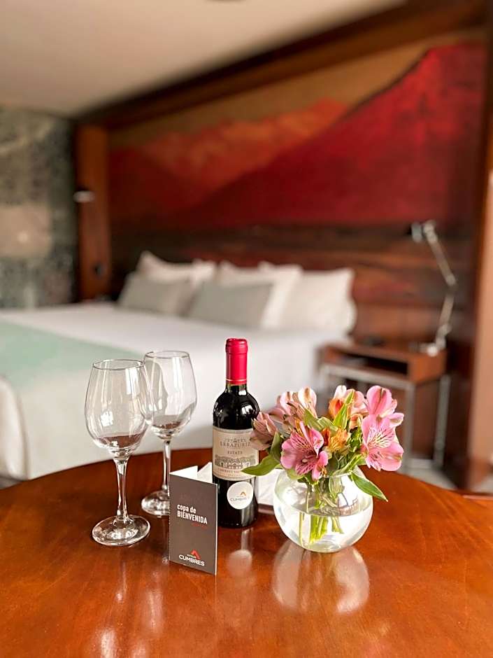 Hotel Cumbres Lastarria