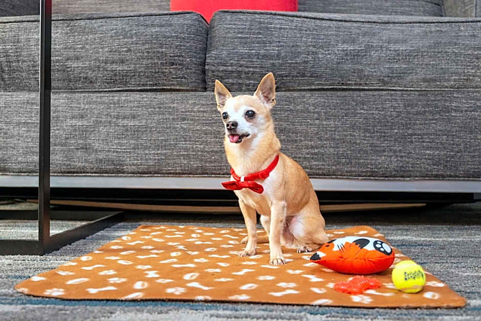 Hampton Inn By Hilton & Suites Cleveland-Beachwood