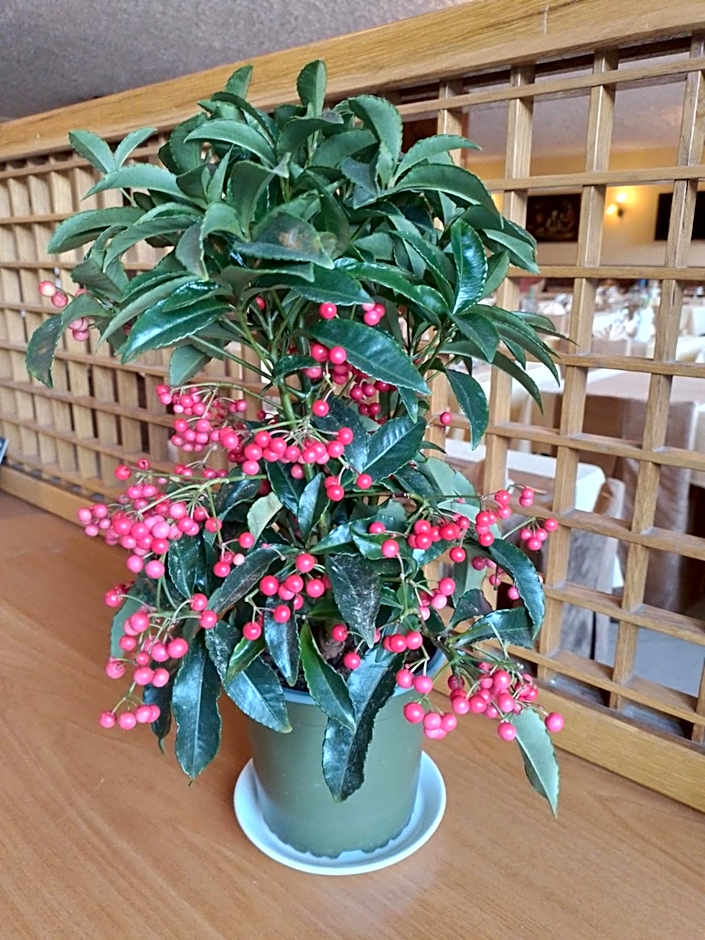 Hotel Ristorante Miravalle