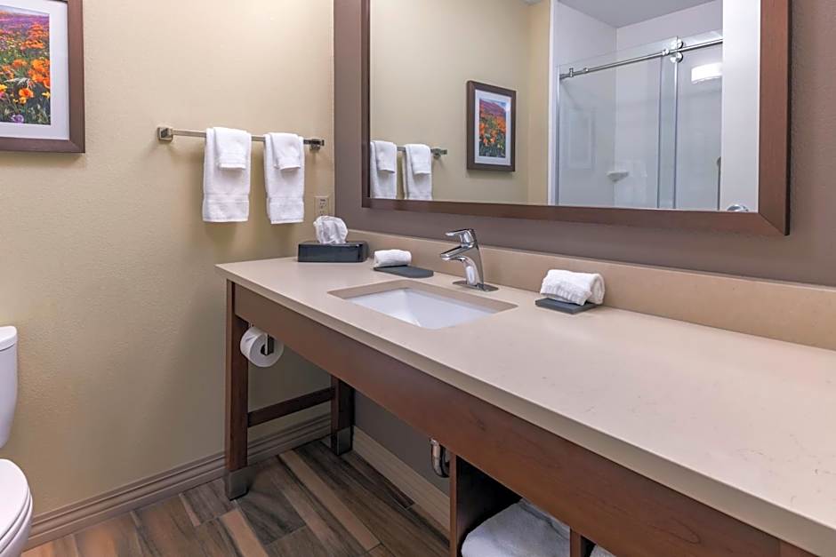 La Quinta Inn & Suites by Wyndham Durango