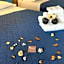 Hotel Papillon