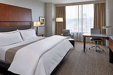 Traditional King, Guest room, 1 King