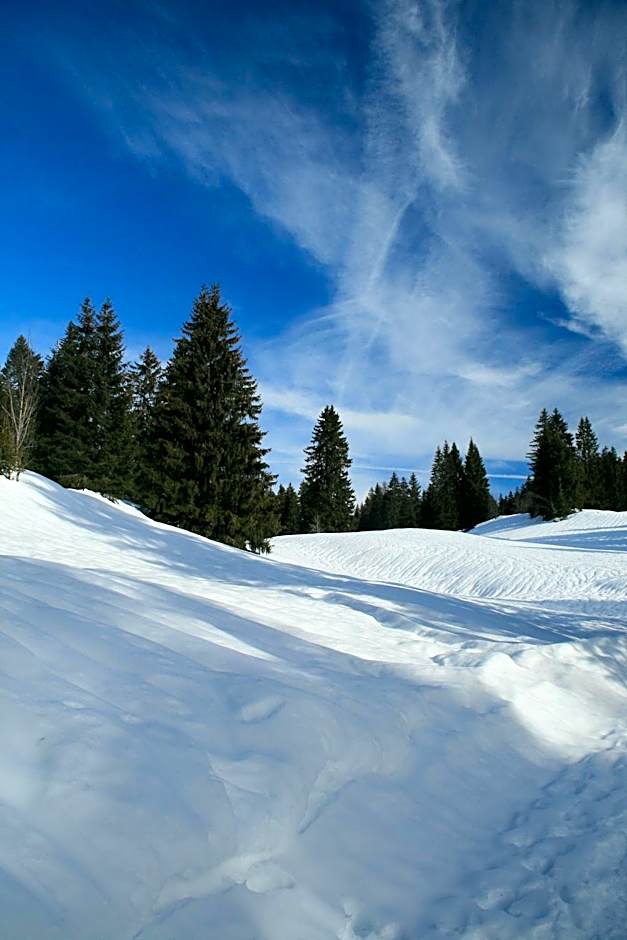Au Coeur du Lapidaire