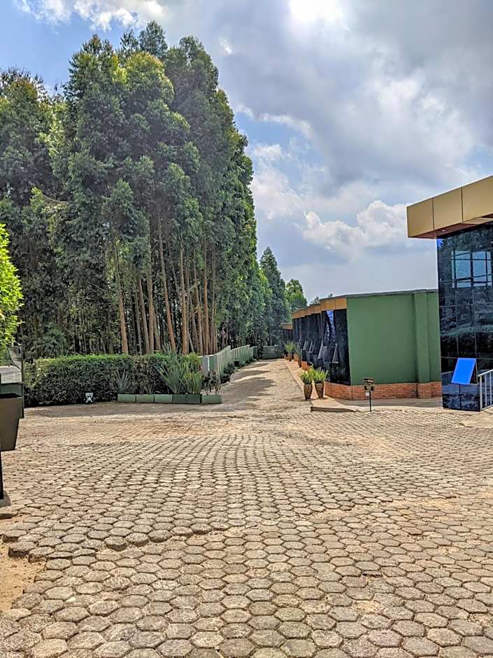 Chimpanzee Lodge