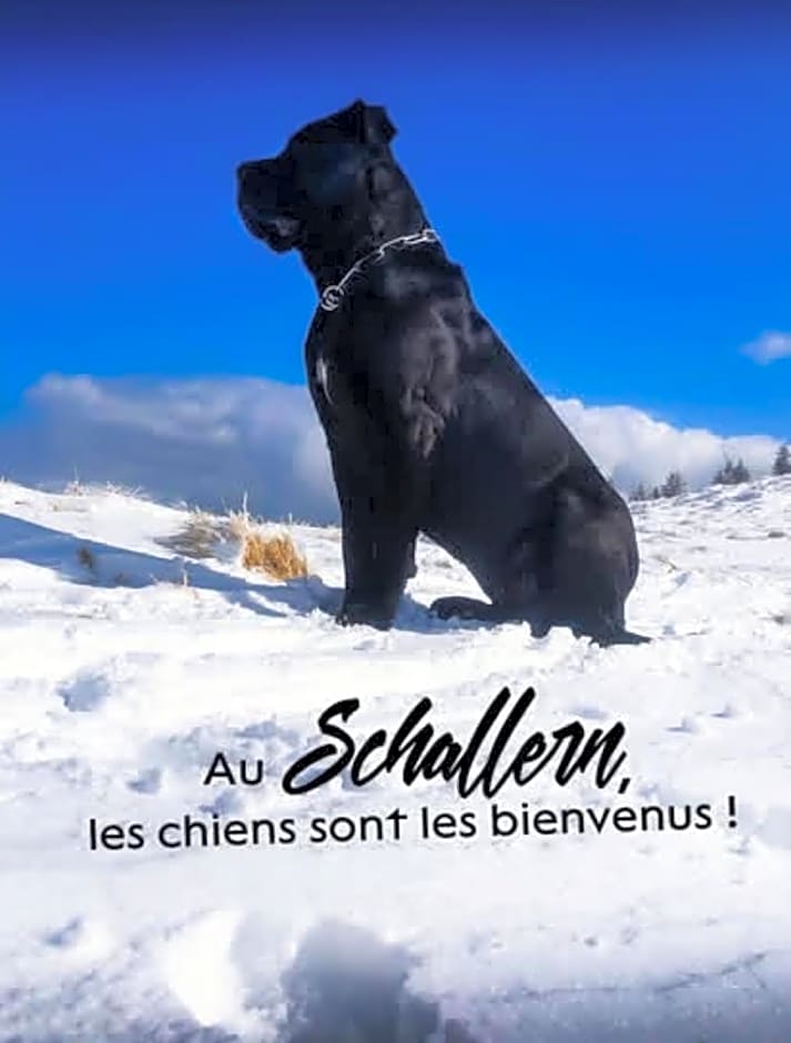 Le Schallern - Accès à pieds depuis le Gaschney