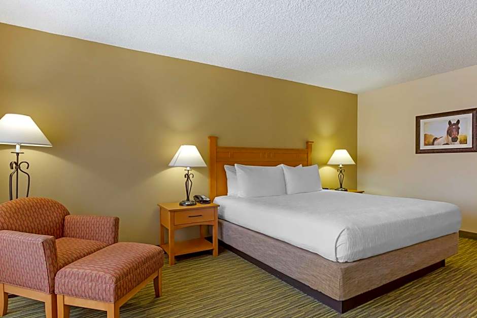 Best Western Paint Pony Lodge