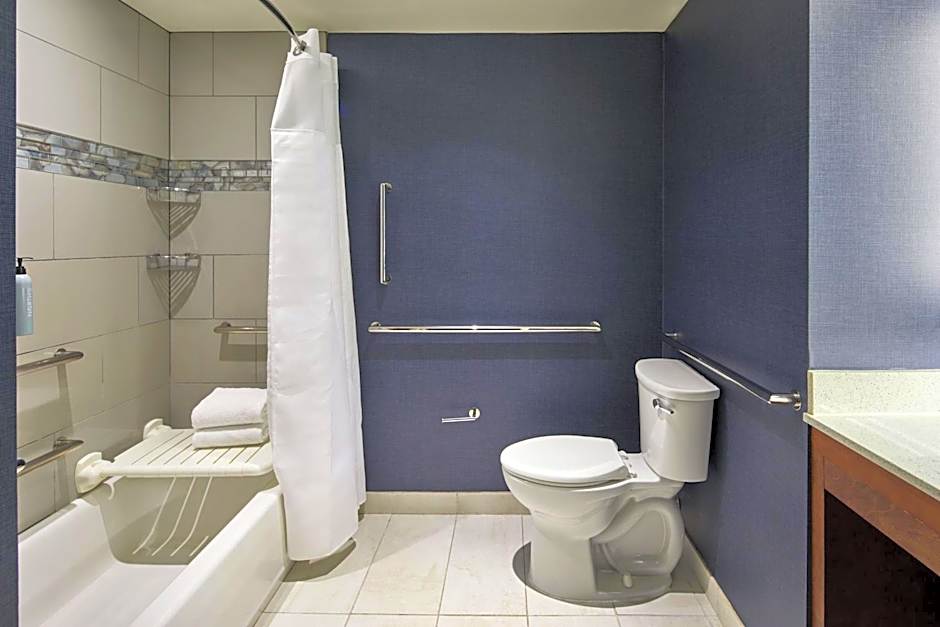 Residence Inn by Marriott Atlanta Perimeter Center/Dunwoody