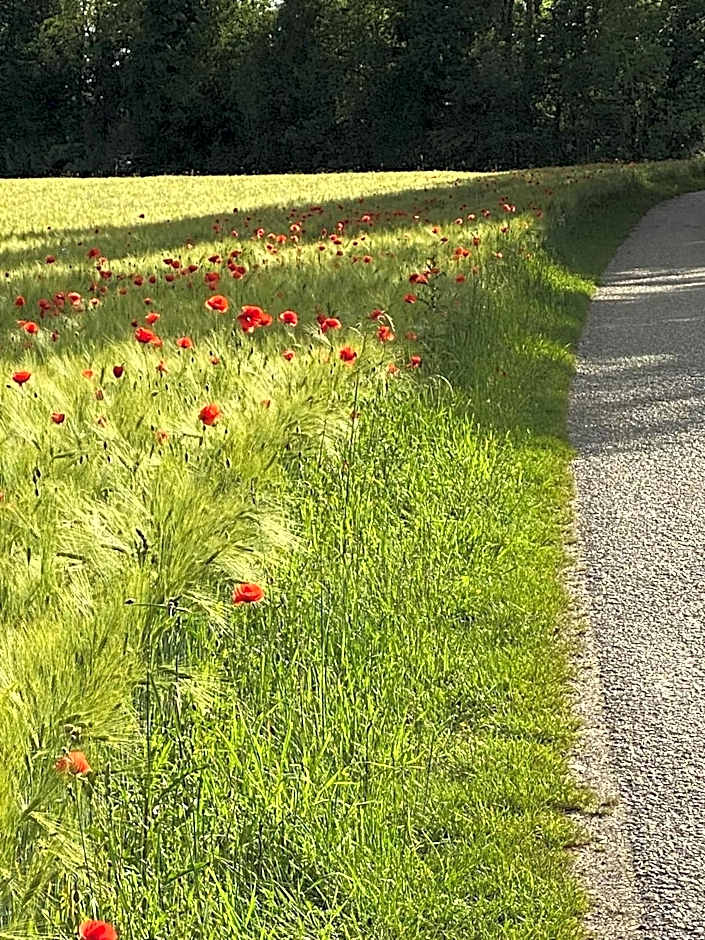 HOTEL ZILLNERs EINKEHR ***