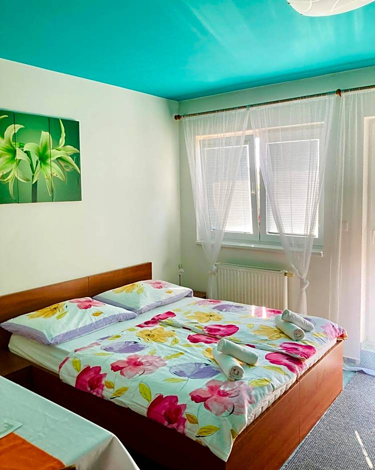 Apartmány, Penzion, Wellness U zlaté rybky