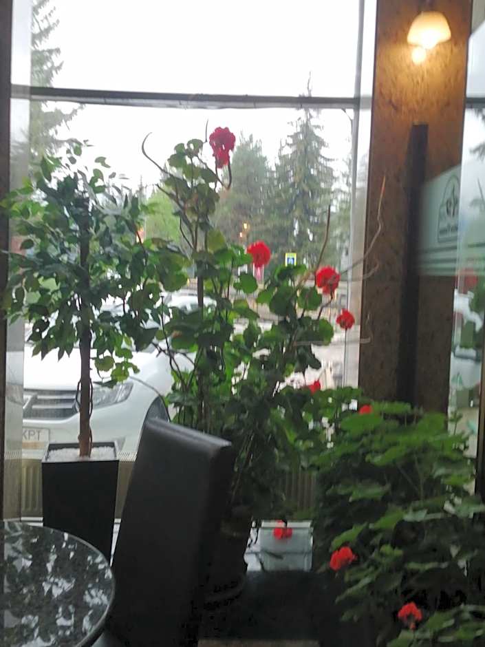Hotel Piemonte
