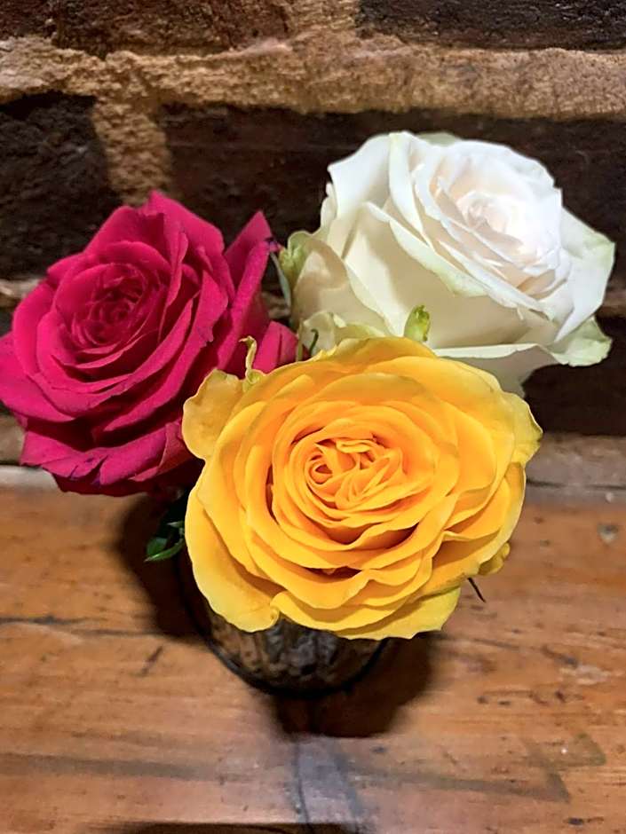 Ye Olde White Harte Hotel