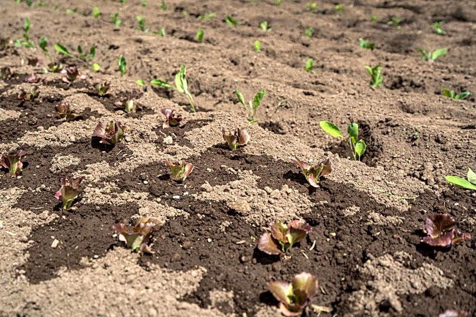 Il Casale di Don Matteo