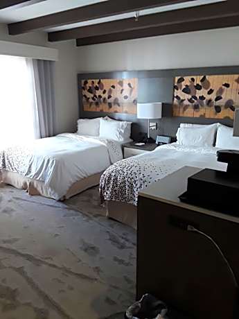 Doube Room with Two Double Beds and Roll-In Shower - Mobility/Hearing Accessible - Non-Smoking