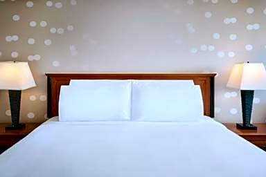 1 King Suite Sofabed