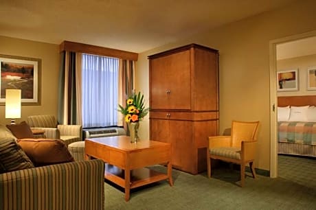 1 King Bed 2 Room Suite-Sofabed-Nonsmoking