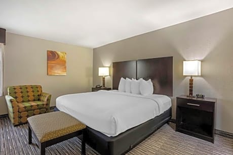 Suite-1 King Bed, Non-Smoking, Separate Bedroom, Pillow Top Mattress, Wet Bar, Microwave And Refrige